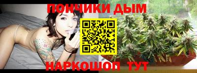 гидропоника Будённовск