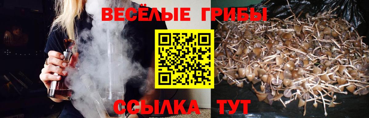 Псилоцибиновые грибы ЛСД  Псилоцибиновые грибы Magic Shrooms  Вход с VPN  Ростов Великий 